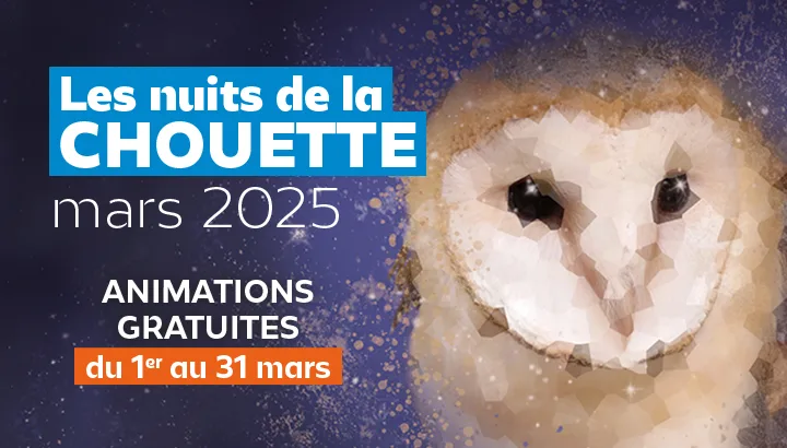 Les Nuits de la chouette, c&rsquo;est chouette !