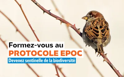 Formez-vous au protocole EPOC