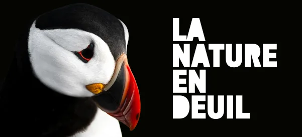 La nature en deuil – communiqué de presse