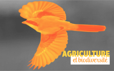 Agriculture et biodiversité