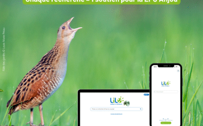 Soutenez-nous gratuitement avec le moteur de recherche Lilo !