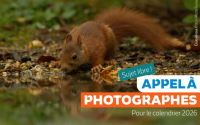 Appel à photographes : 16ème édition du calendrier de la LPO Anjou