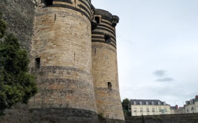 Dans les fossés du château d’Angers