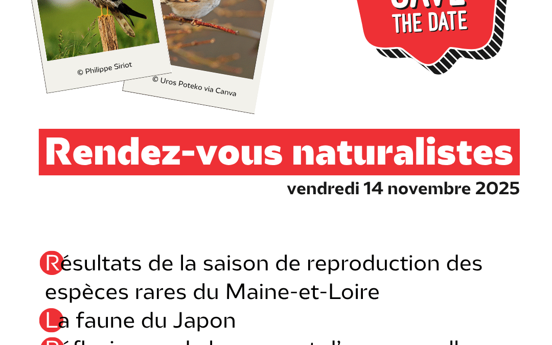Rendez-vous naturalistes : édition de l’automne 2025 !