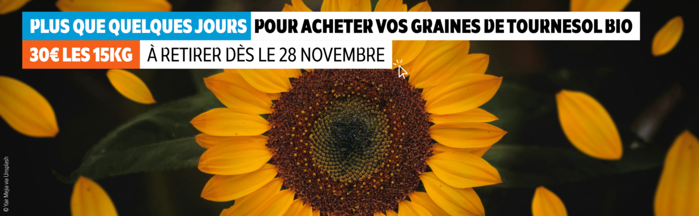 Slider_tournesol 2025_V2