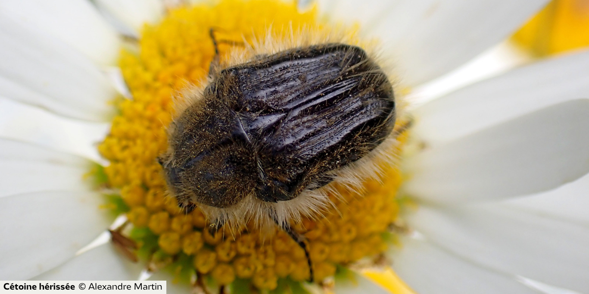 20241207-Atelier-nichoirs-et-mangeoires