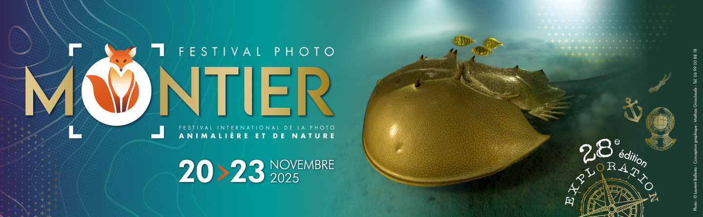 Affiche-Montier-1440-x-445-px