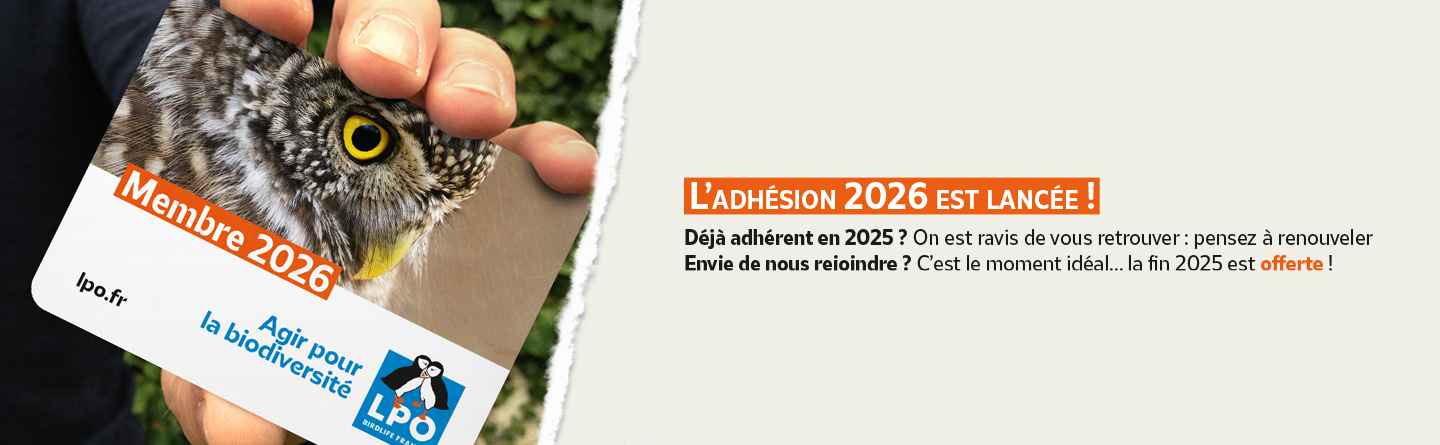 CarrouselHome_1440x445