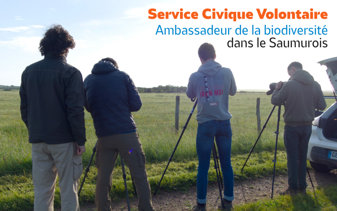 [POURVU] La LPO Anjou recherche un service civique : Ambassadeur de la biodiversité dans le Saumurois