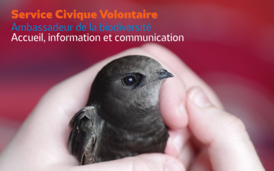 La LPO Anjou recherche un service civique : Ambassadeur de la biodiversité, accueil, information et communication