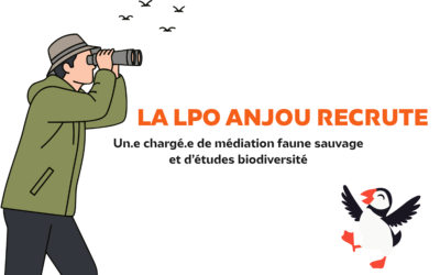 La LPO Anjou recrute un.e chargé.e de médiation faune sauvage et d’études biodiversité
