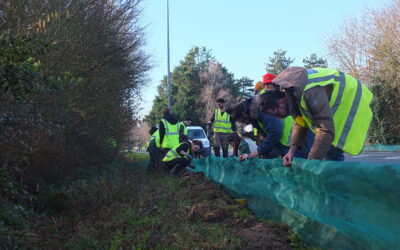Le crapauduc du lac de Maine est mont&eacute; !