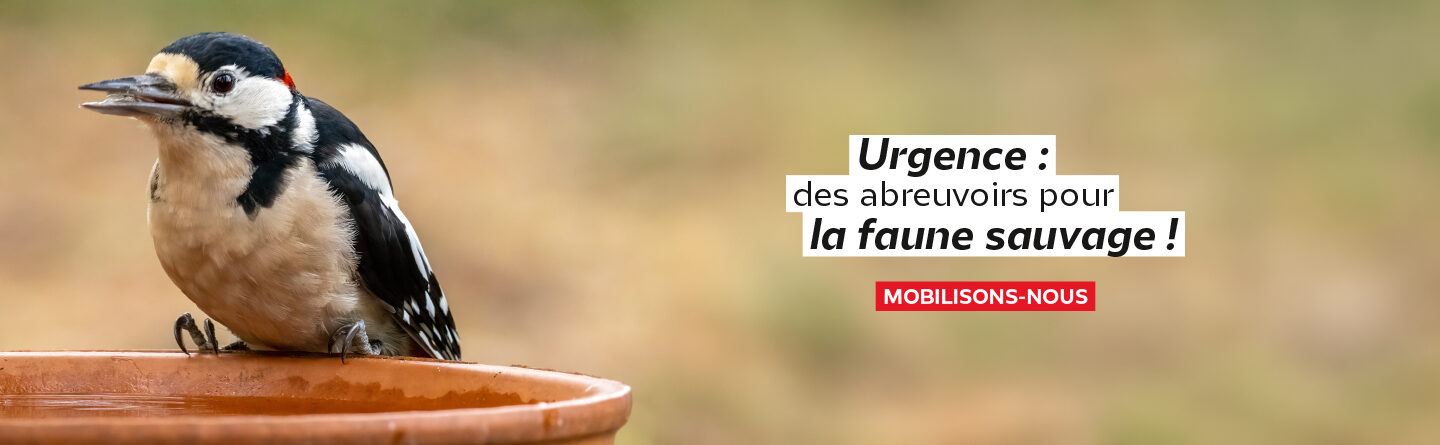 CarrouselHome_1920x445_2
